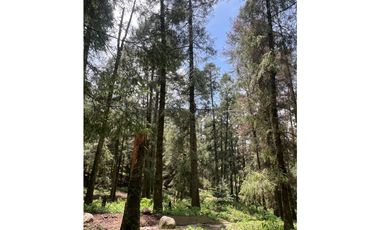 Terreno boscoso en Venta en Pueblo Nuevo, cerca de Huasca
