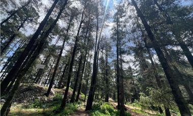 Terreno boscoso en Venta en Pueblo Nuevo, cerca de Huasca