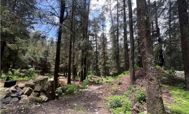 Terreno boscoso en Venta en Pueblo Nuevo, cerca de Huasca