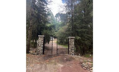 Terreno boscoso en Venta en Pueblo Nuevo, cerca de Huasca