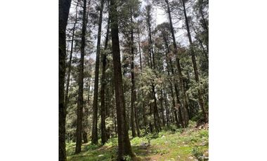Terreno boscoso en Venta en Pueblo Nuevo, cerca de Huasca