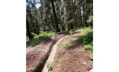 Terreno boscoso en Venta en Pueblo Nuevo, cerca de Huasca