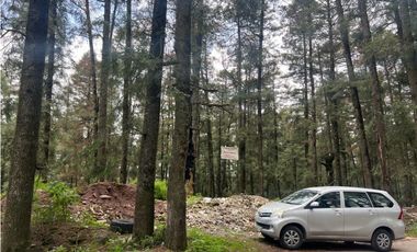 Terreno boscoso en Venta en Pueblo Nuevo, cerca de Huasca
