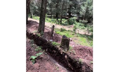 Terreno boscoso en Venta en Pueblo Nuevo, cerca de Huasca