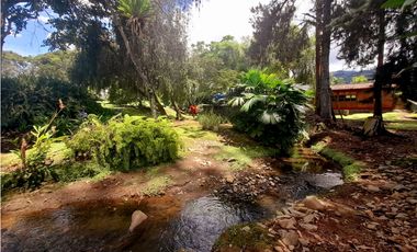 VENTA  FINCA EN CALIMA-DARIEN
