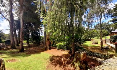 VENTA  FINCA EN CALIMA-DARIEN