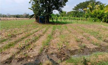 SE VENDE LOTES EN ROZO T.P