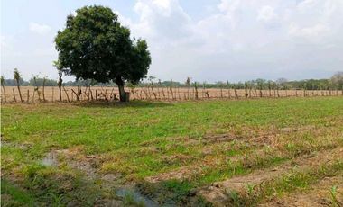 SE VENDE LOTES EN ROZO T.P