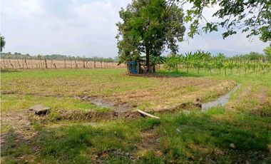 SE VENDE LOTES EN ROZO T.P