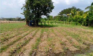 SE VENDE LOTES EN ROZO T.P