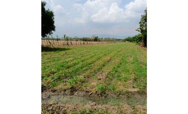 SE VENDE LOTES EN ROZO T.P