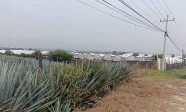 Terreno en San Isidro Mazatepec