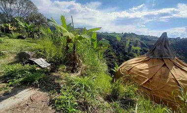 FINCA EN VENTA VIA NEIRA