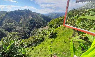 FINCA EN VENTA VIA NEIRA