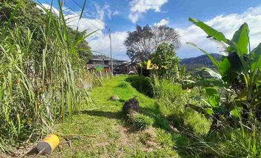 FINCA EN VENTA VIA NEIRA