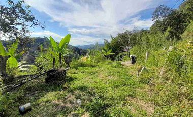 FINCA EN VENTA VIA NEIRA
