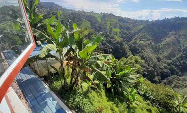 FINCA EN VENTA VIA NEIRA