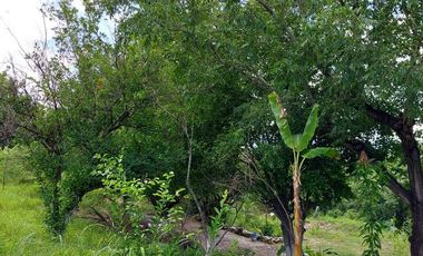 TERRENO EN VENTA EN  LOMA BONITA TERAN