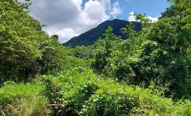 TERRENO EN VENTA EN  LOMA BONITA TERAN