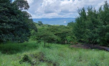 TERRENO EN VENTA EN  LOMA BONITA TERAN