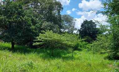 TERRENO EN VENTA EN  LOMA BONITA TERAN