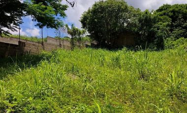 TERRENO EN VENTA EN  LOMA BONITA TERAN