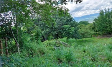 TERRENO EN VENTA EN  LOMA BONITA TERAN