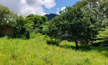 TERRENO EN VENTA EN  LOMA BONITA TERAN