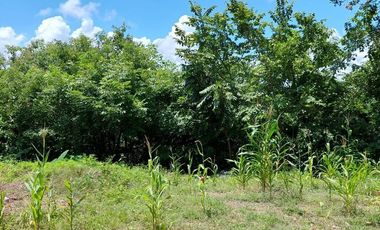 TERRENO EN VENTA EN  LOMA BONITA TERAN