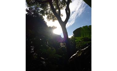 FINCA A LA VENTA CAÑAVERAL PENONOME