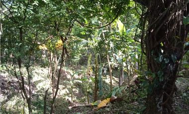 FINCA A LA VENTA CAÑAVERAL PENONOME