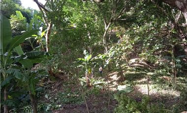 FINCA A LA VENTA CAÑAVERAL PENONOME