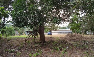 FINCA A LA VENTA CAÑAVERAL PENONOME