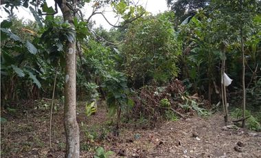 FINCA A LA VENTA CAÑAVERAL PENONOME