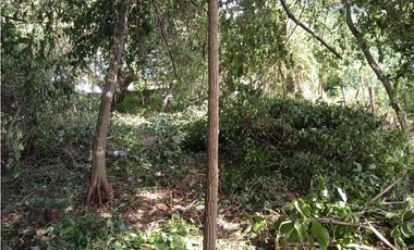 FINCA A LA VENTA CAÑAVERAL PENONOME
