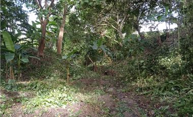 FINCA A LA VENTA CAÑAVERAL PENONOME