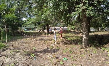FINCA A LA VENTA CAÑAVERAL PENONOME