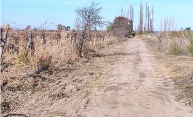 VENTA DE FINCA 21 HAS EN ANDRADE - RIVADAVIA, MENDOZA.