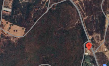Land for sale in Huai Sai Nuea, Phetchaburi