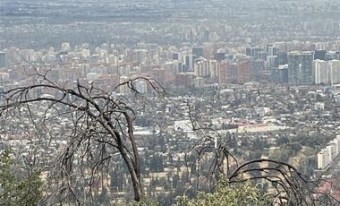 Sitio en Venta en Via Roja 10.240
