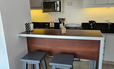 SE ALQUILA DPTO  DOS AMBIENTES EN  NORDELTA