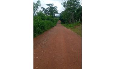 PENONOME / CASA DE CAMPO / 8200 M2 / DEPOSITO / CASA HUESPED