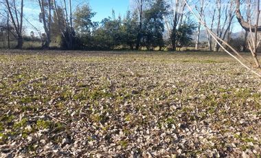 Casa en Venta en Ruta L 11 pasando puente Putagan al lado de Polígono ruta que conecta Linares- Colbun