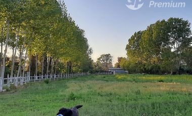 Casa en Venta en Ruta L 11 pasando puente Putagan al lado de Polígono ruta que conecta Linares- Colbun