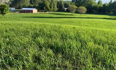 Agrícola en Venta en A 12 Kms de Villarica sector Relun