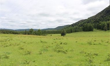 Agrícola en Venta en A 12 Kms de Villarica sector Relun