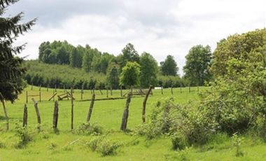 Agrícola en Venta en A 12 Kms de Villarica sector Relun