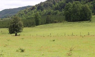 Agrícola en Venta en A 12 Kms de Villarica sector Relun