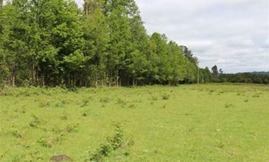 Agrícola en Venta en A 12 Kms de Villarica sector Relun