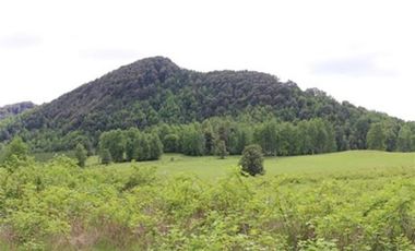 Agrícola en Venta en A 12 Kms de Villarica sector Relun